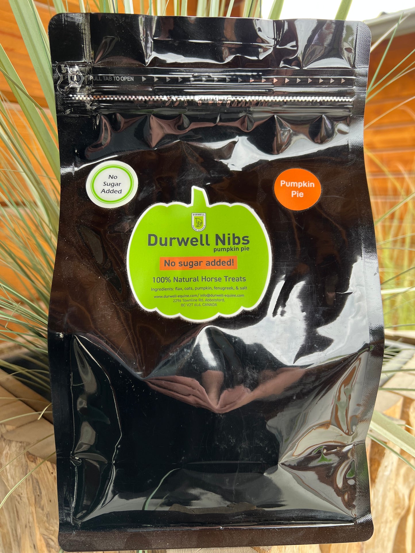 Nibs Horse Treats: Pumpkin Pie (no sugar added)