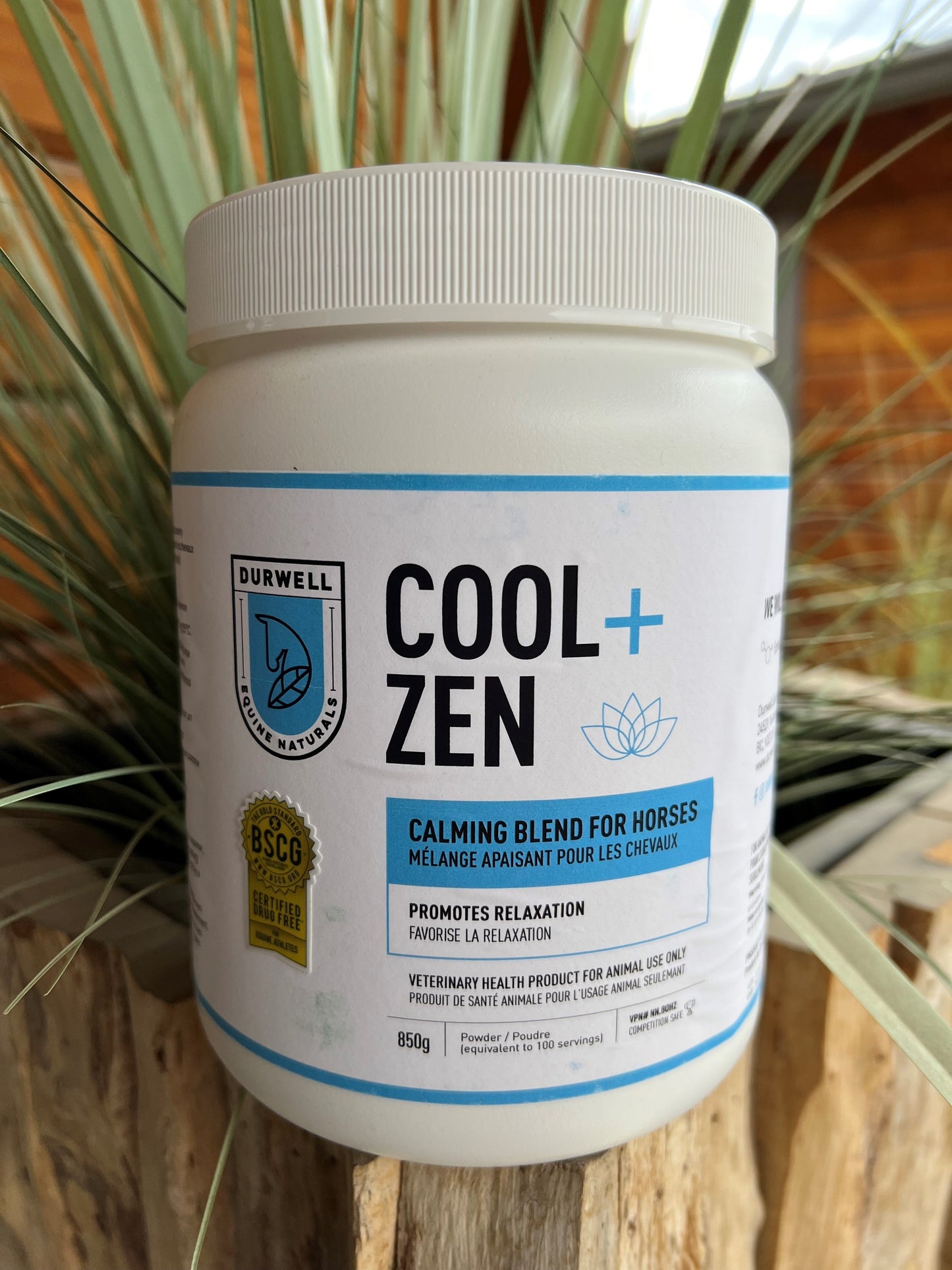 Cool + Zen: Calming Blend for Horses