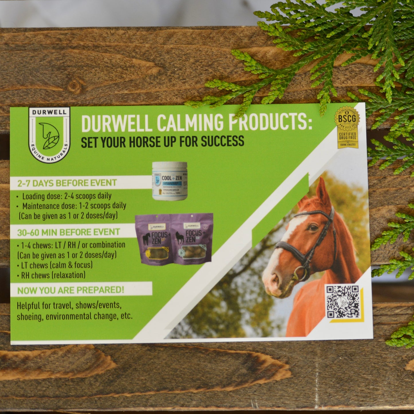 Calming Pack for Horses