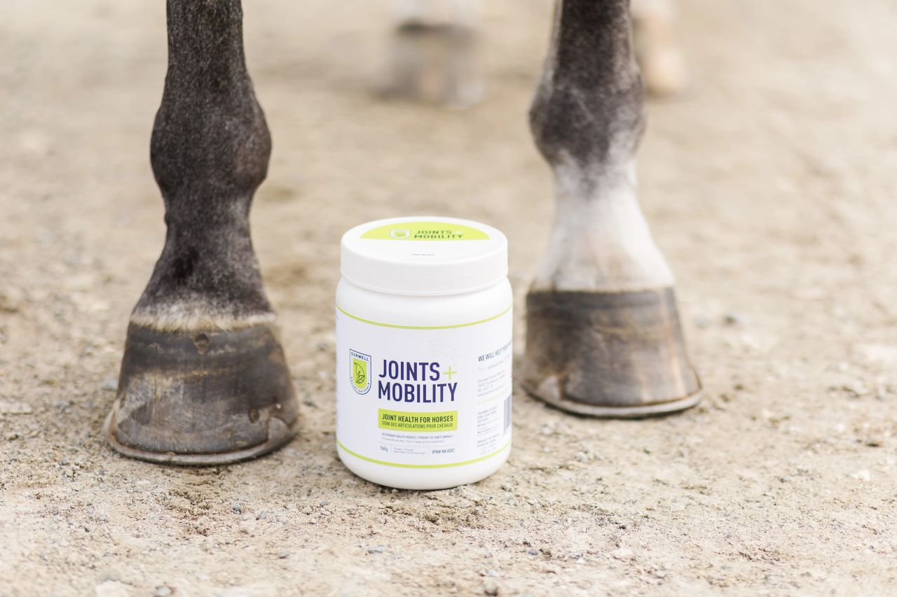 Joints + Mobility: Mineral Blend for Joint Health