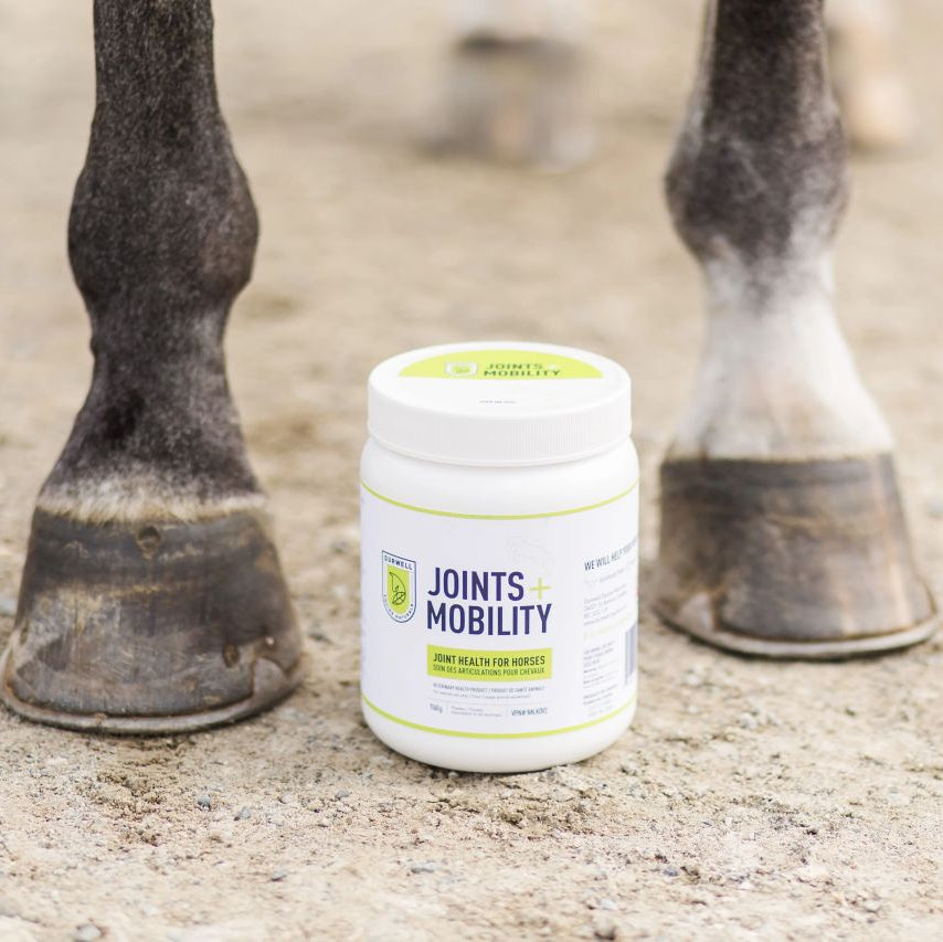 Joints + Mobility: Mineral Blend for Joint Health