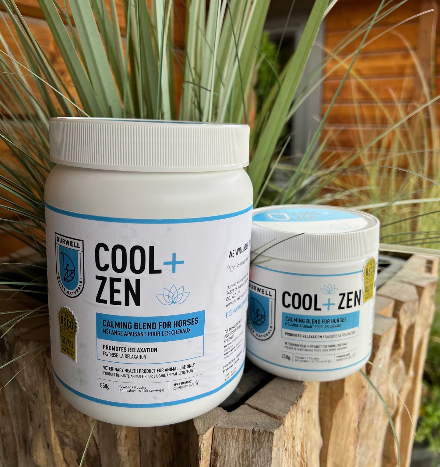 Cool + Zen: Calming Blend for Horses