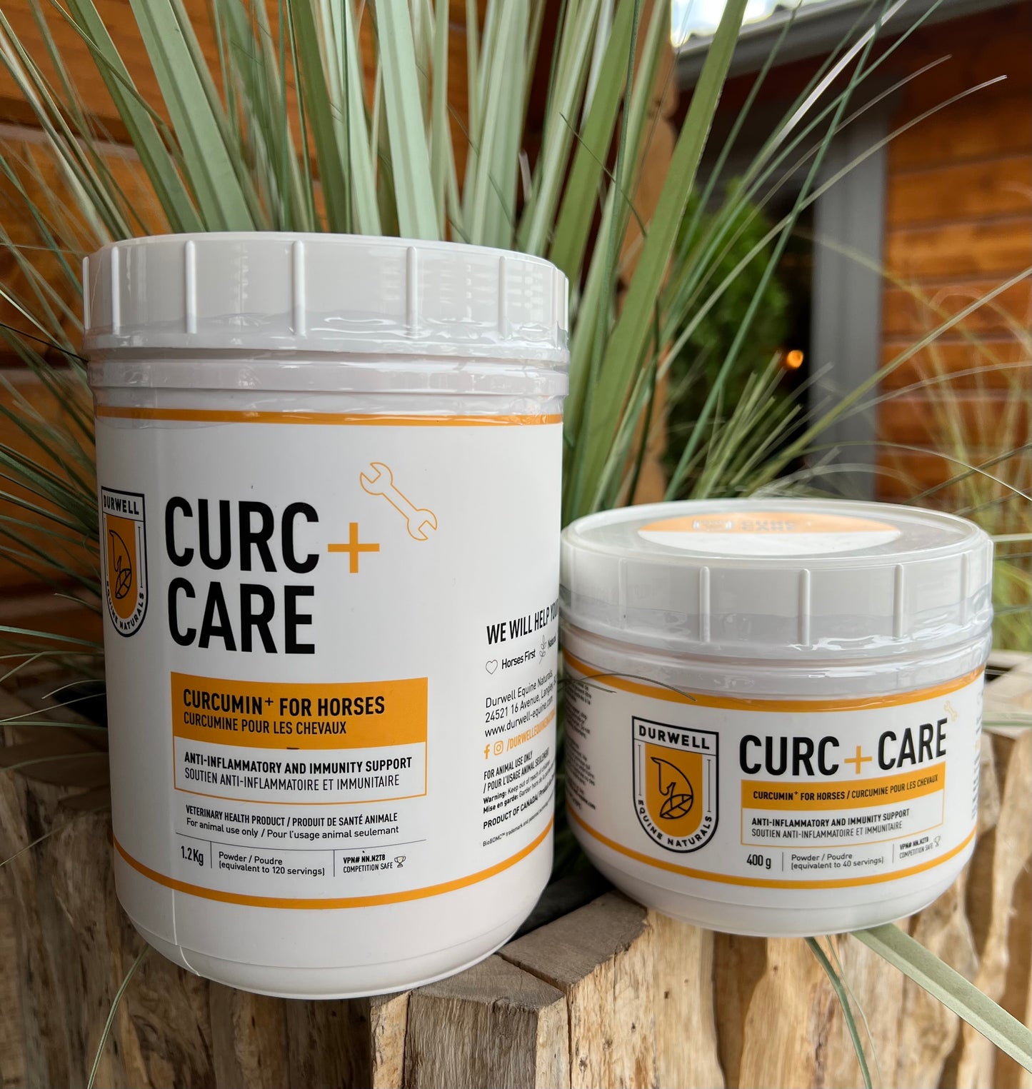 Curc + Care: Anti-inflammatory Support for Horses