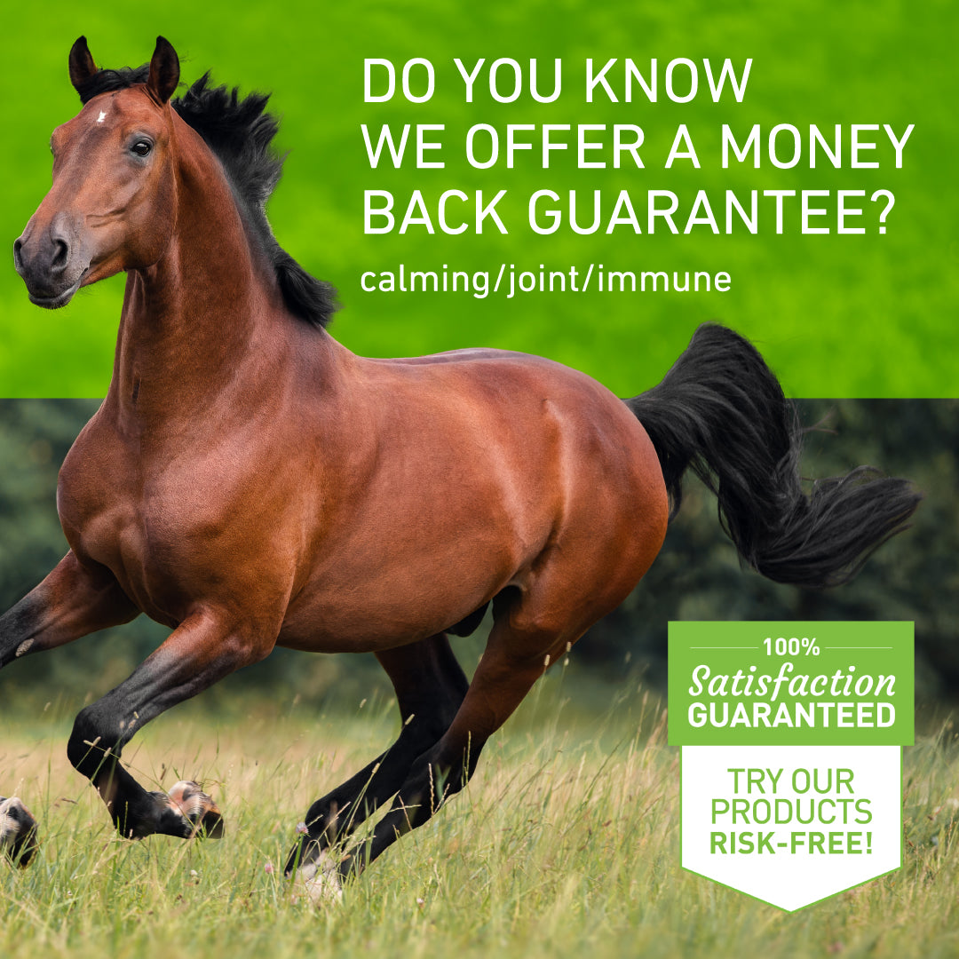 Inflammation Pack – Durwell Equine Naturals