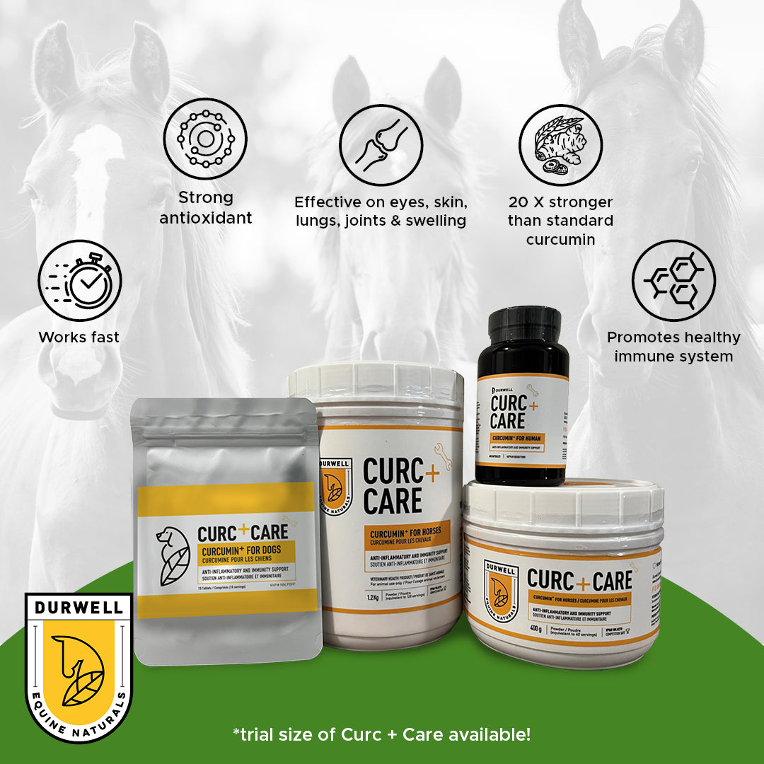 Curc + Care: Anti-inflammatory Support for Horses