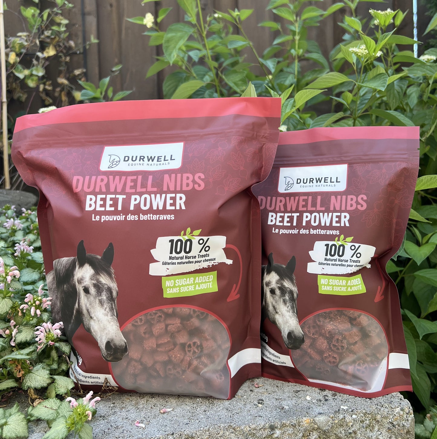 Nibs Horse Treats: Beet Power (NO SUGAR)