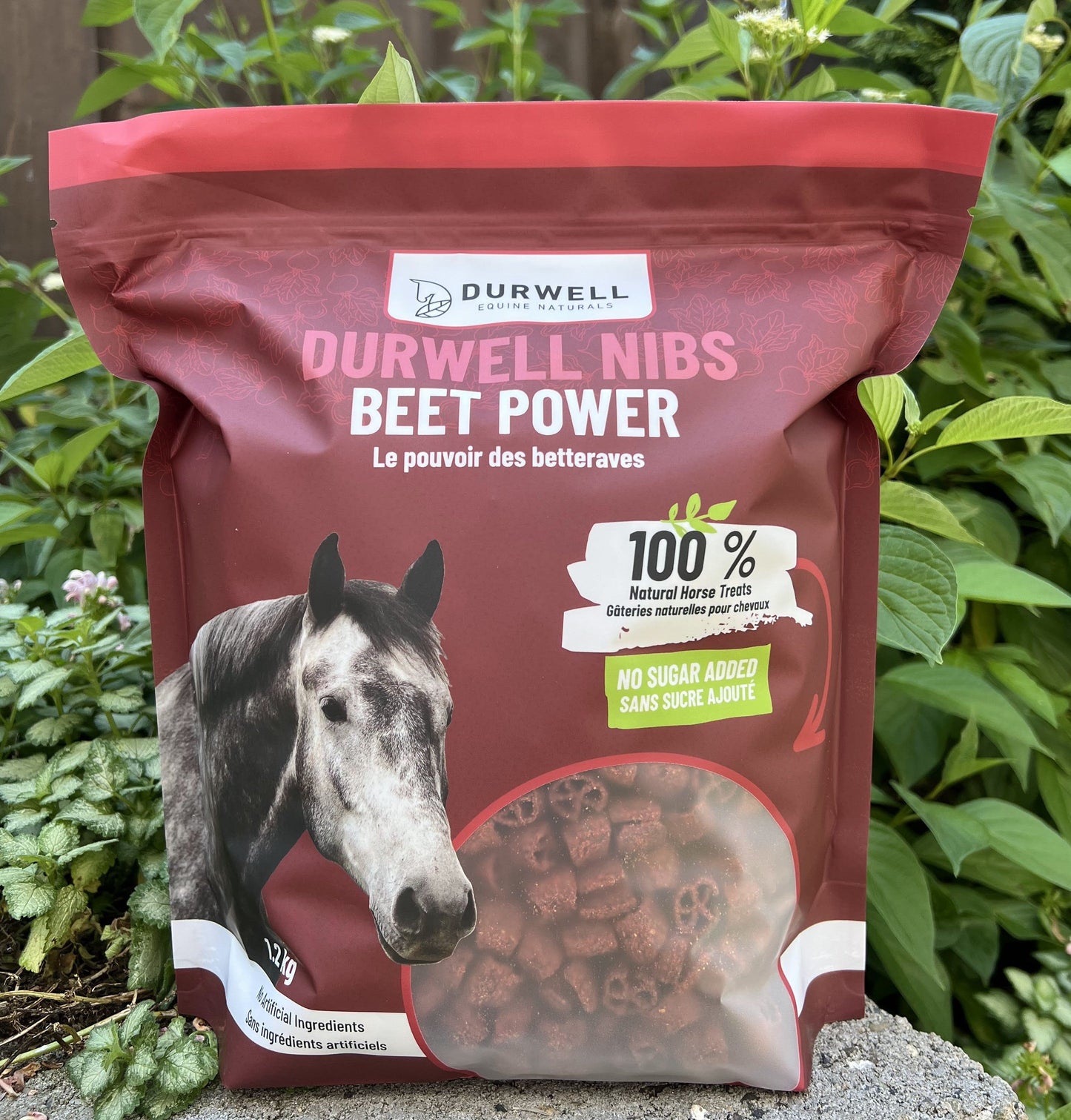 Nibs Horse Treats: Beet Power (NO SUGAR)