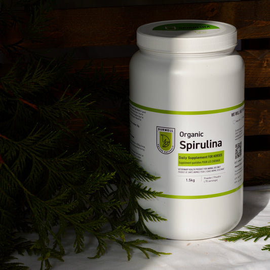 Pure Organic Spirulina