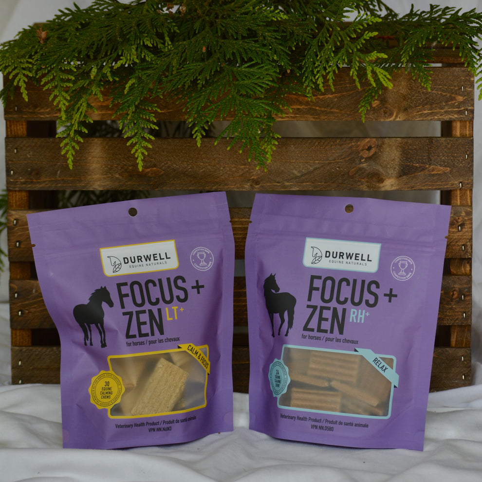Focus + Zen Calming Chew Combo pack – Durwell Equine Naturals