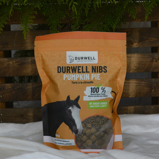Nibs Horse Treats: Pumpkin Pie (NO SUGAR ADDED)