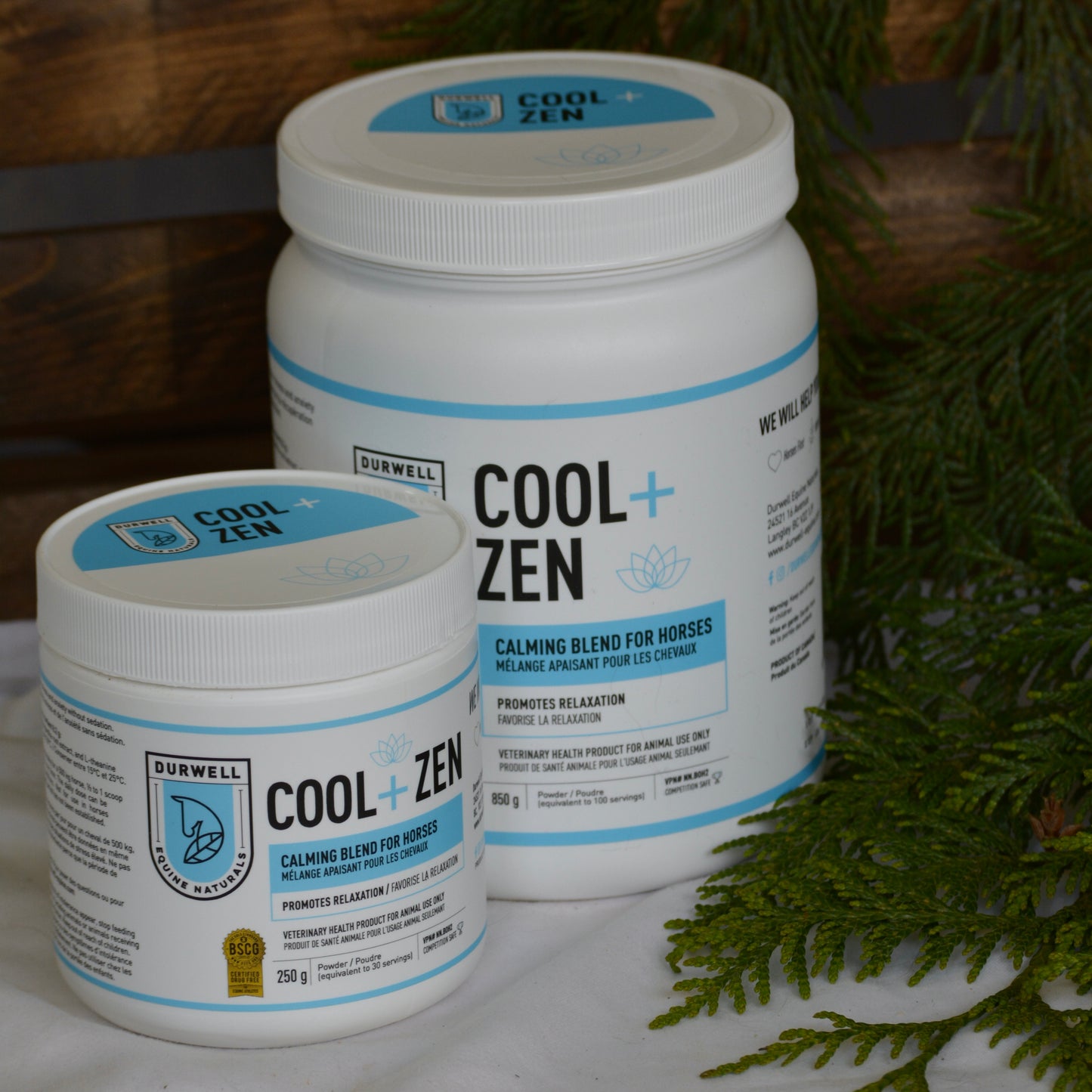 Cool + Zen: Calming Blend for Horses