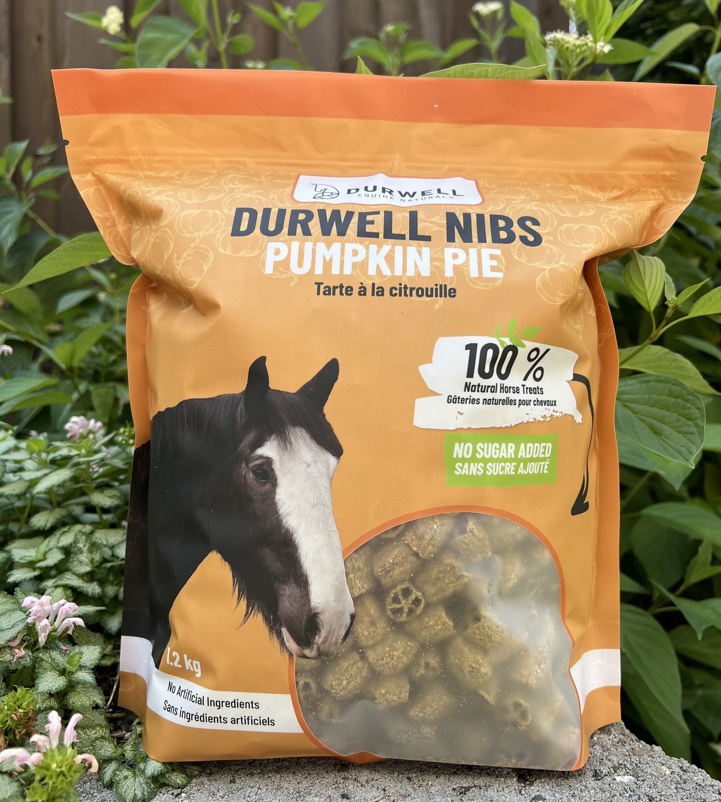 Nibs Horse Treats: Pumpkin Pie (NO SUGAR ADDED)