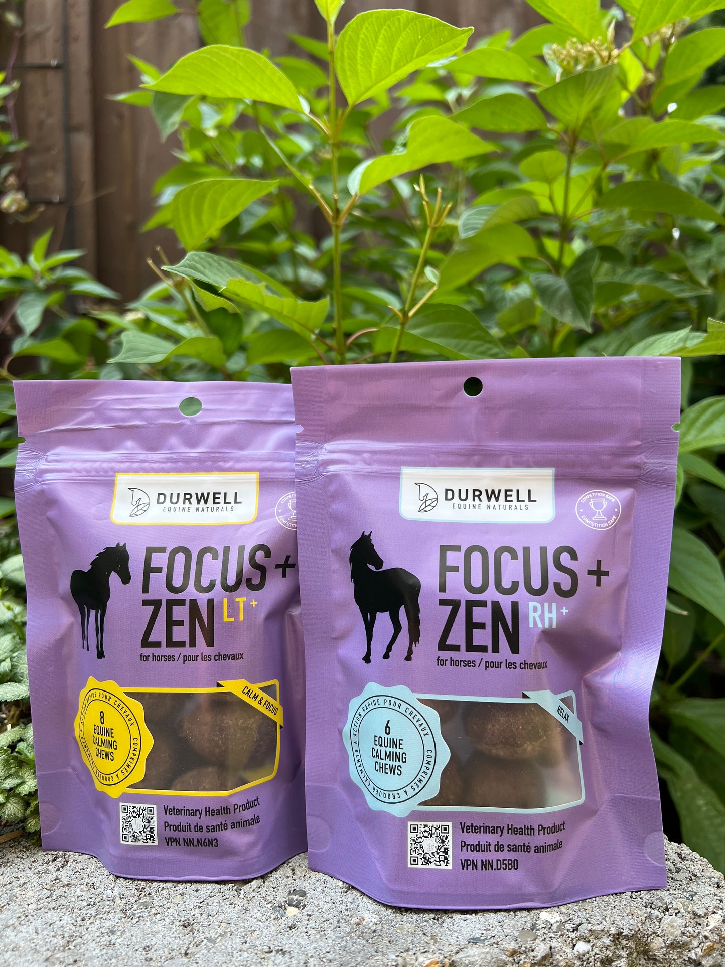 Focus + Zen Calming Chew Combo pack