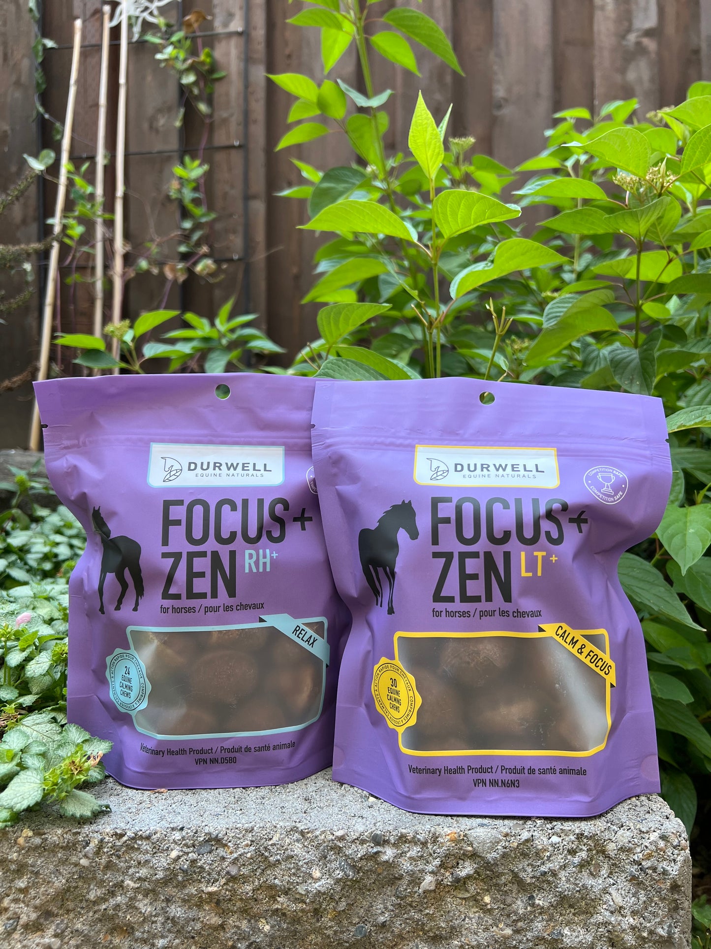 Focus + Zen Calming Chew Combo pack