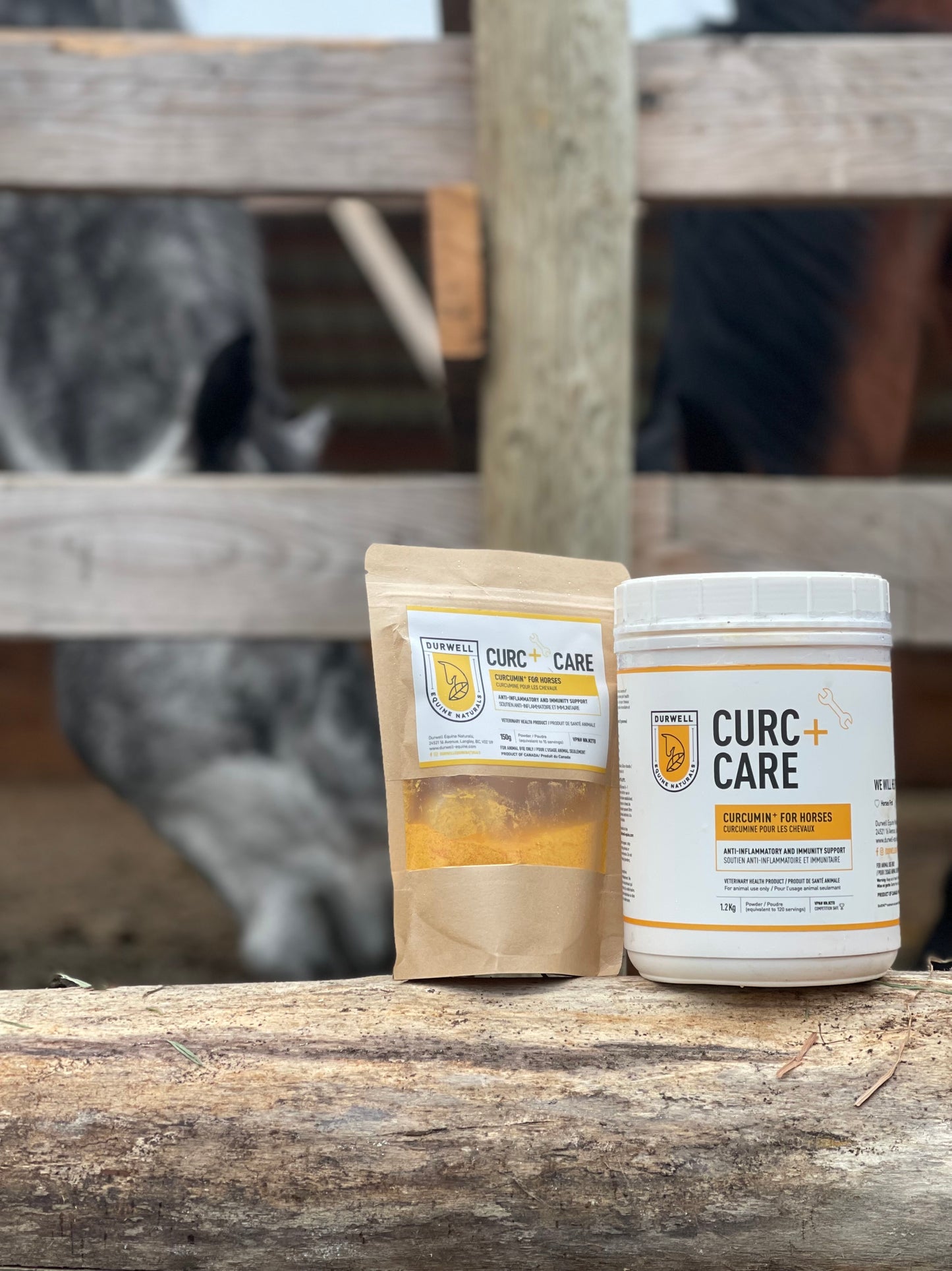 Curc + Care: Anti-inflammatory Support for Horses