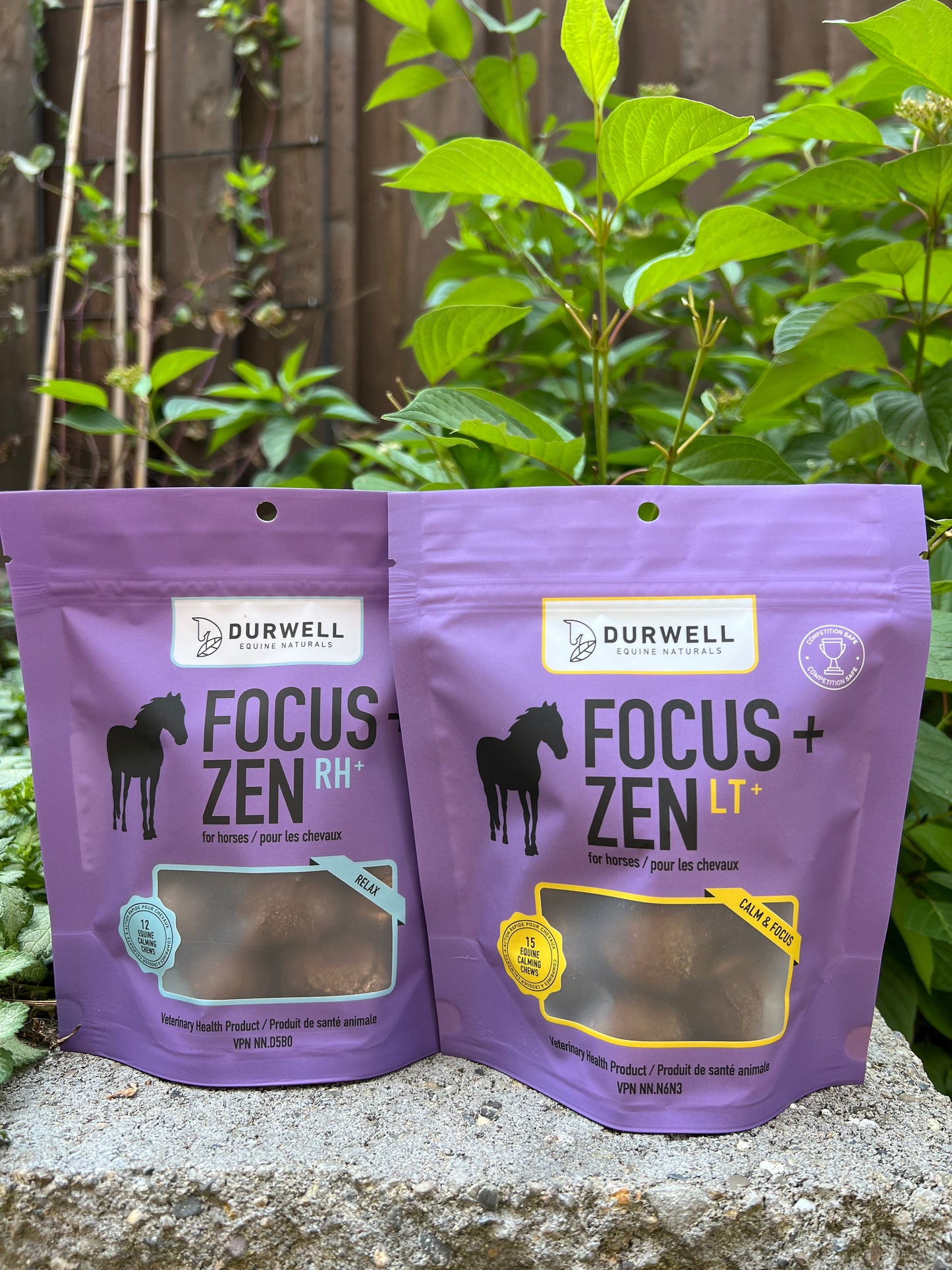 Focus + Zen Calming Chew Combo pack