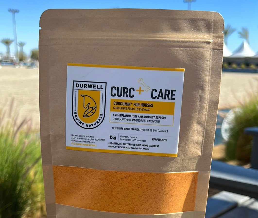 Curc + Care: Anti-inflammatory Support for Horses